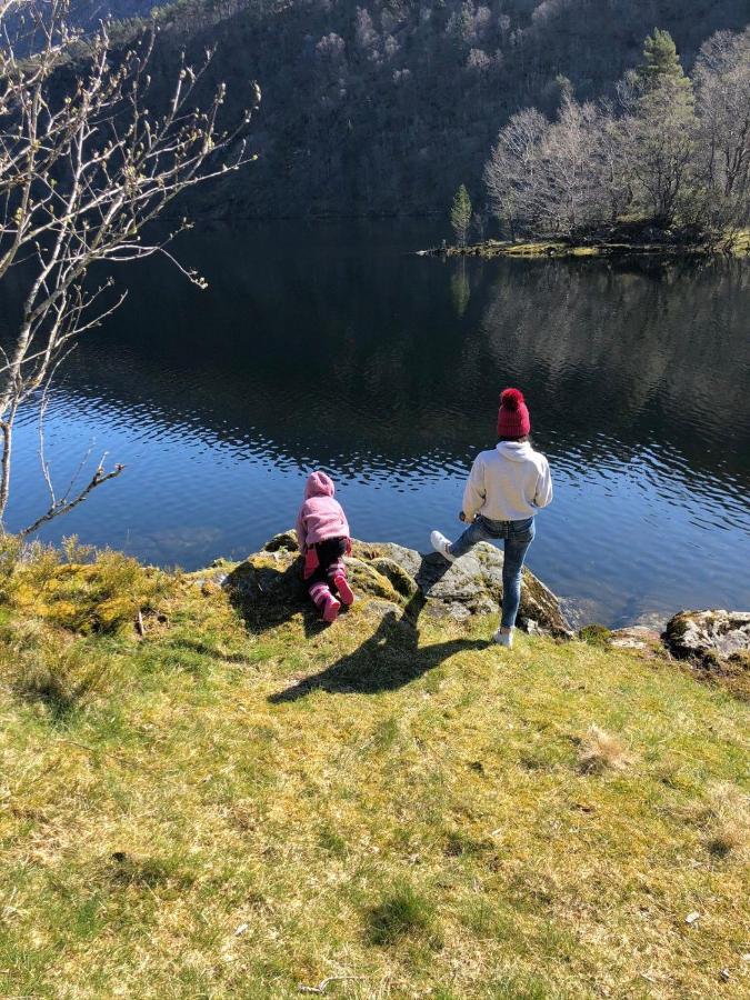 Grimen Camping Bergen Exteriér fotografie